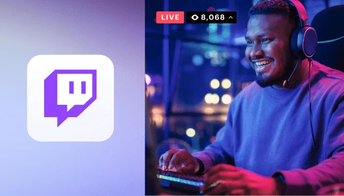 twitch streamer