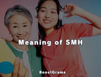 smh meaning
