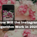 instagram algorithm