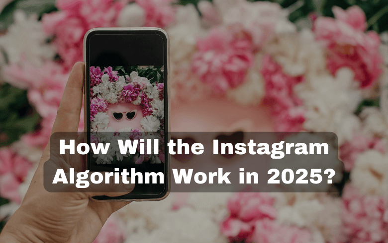 instagram algorithm