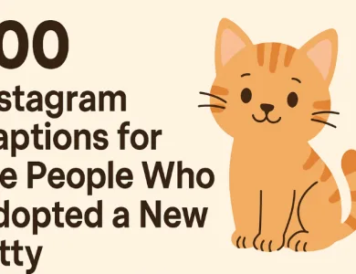 100 captions for kitty