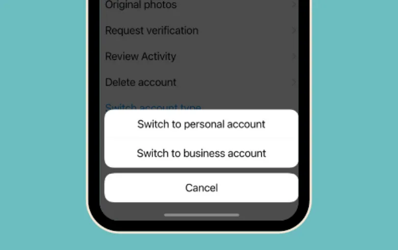 professional account