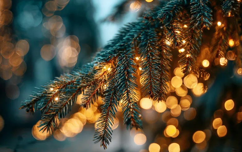 Welcome 2026! 100 Quotes for New Year