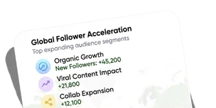 Grow Fast by Buying Followers